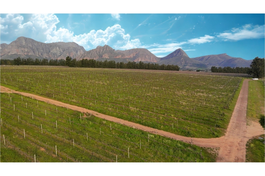 0 Bedroom Property for Sale in Paarl Rural Western Cape